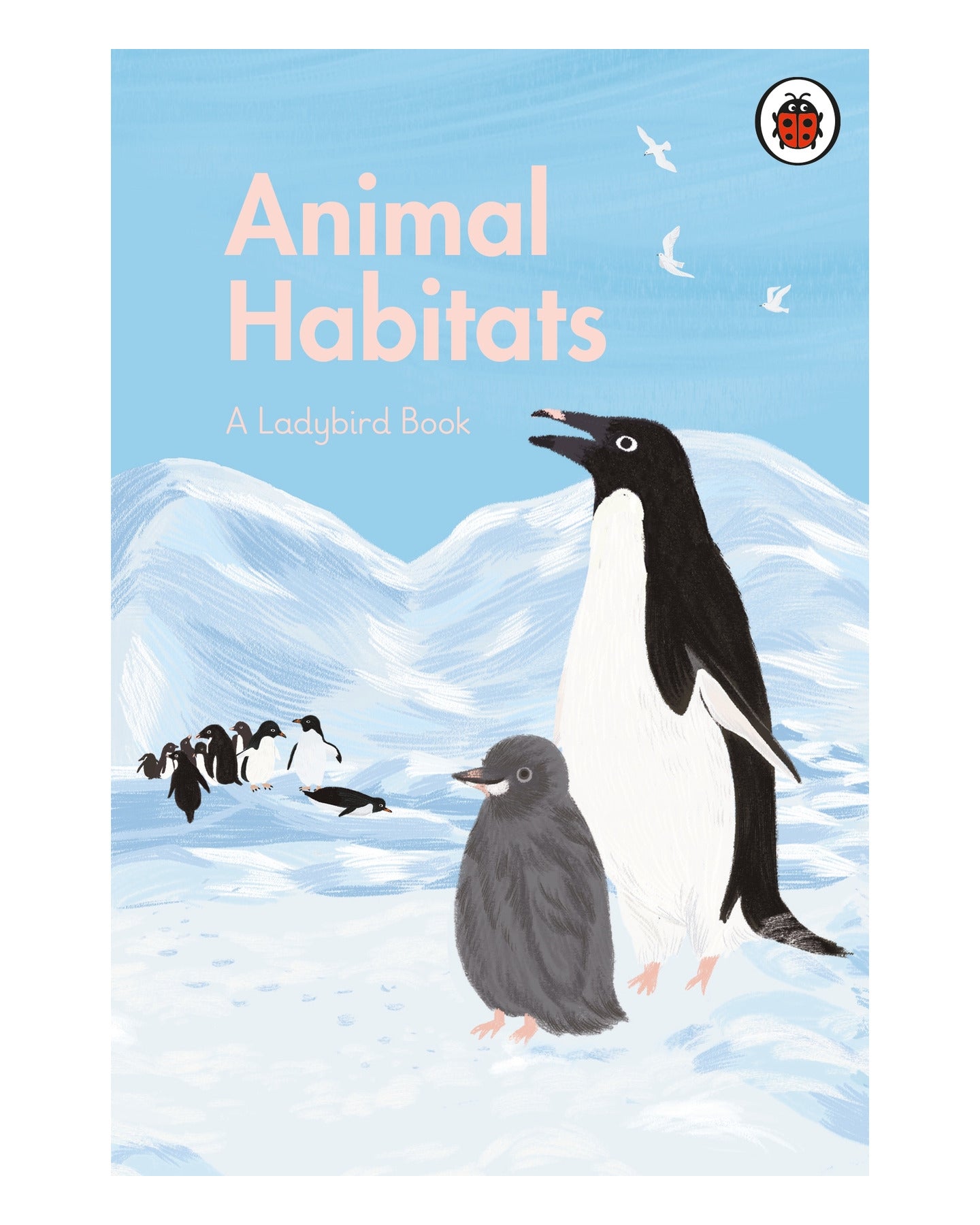 Animal Habitats: a Ladybird Book