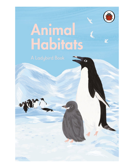 Animal Habitats: a Ladybird Book