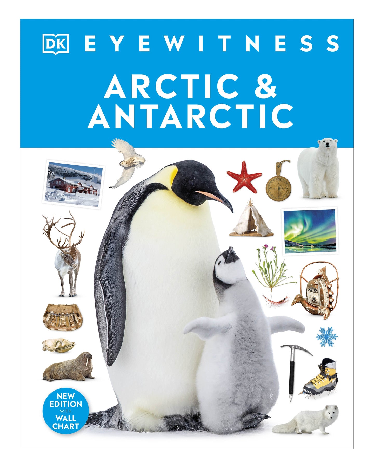 Arctic and Antartic DK