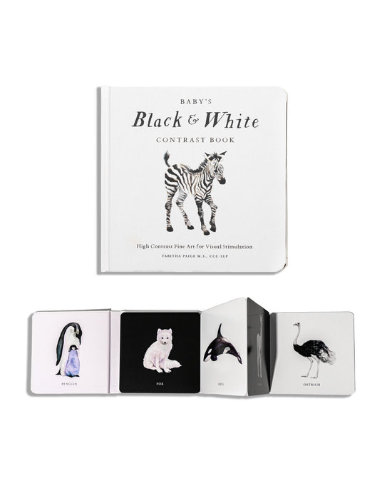 Baby'S Black and White Book