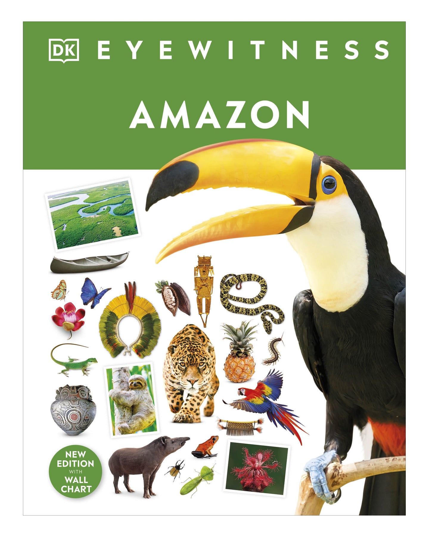 DK Eyewitness: Amazon