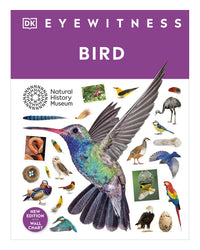 DK Eyewitness: Bird