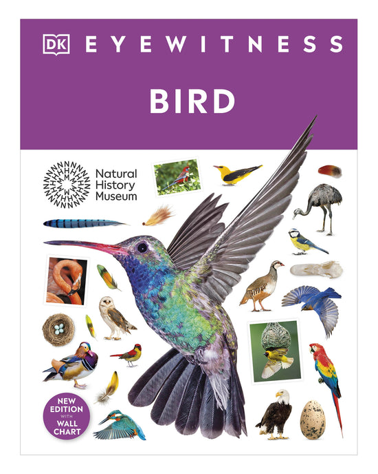DK Eyewitness: Bird