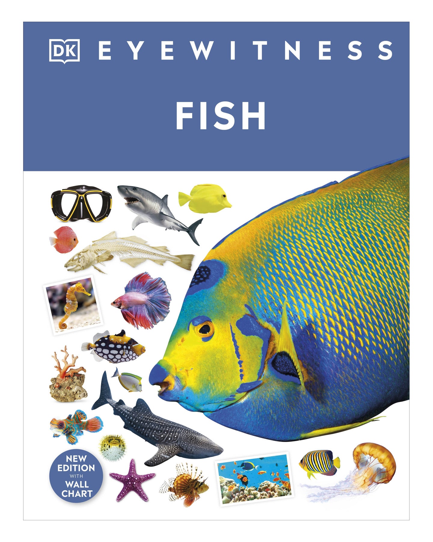 DK Eyewitness: Fish