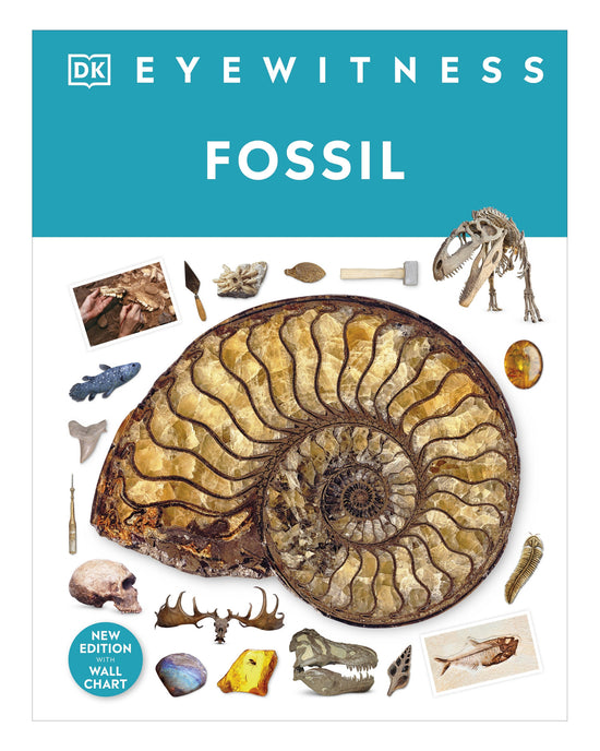 DK Eyewitness: Fossil
