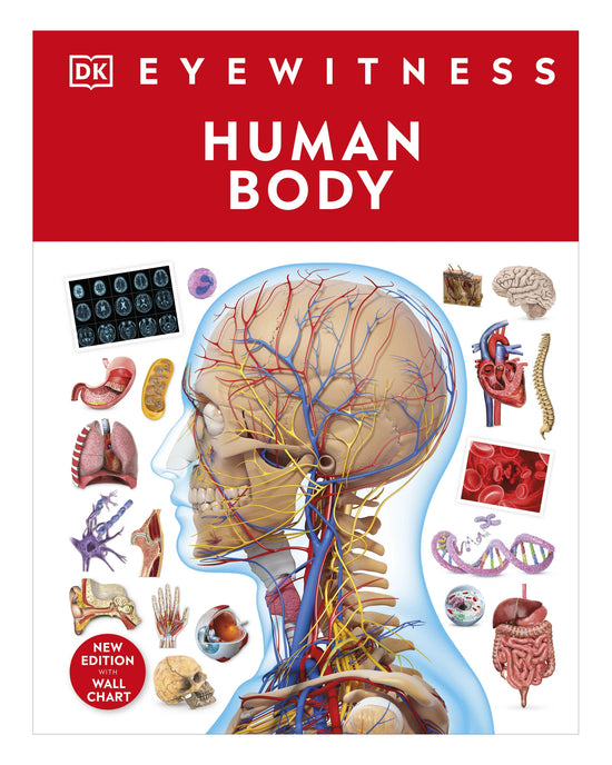 DK Eyewitness: Human Body