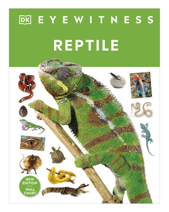 DK Eyewitness: Reptile