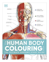 DK: Human Body Colouring Book