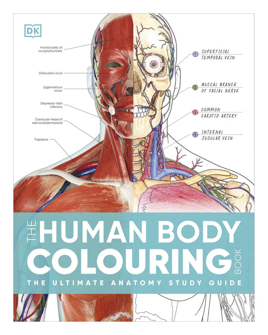 DK: Human Body Colouring Book