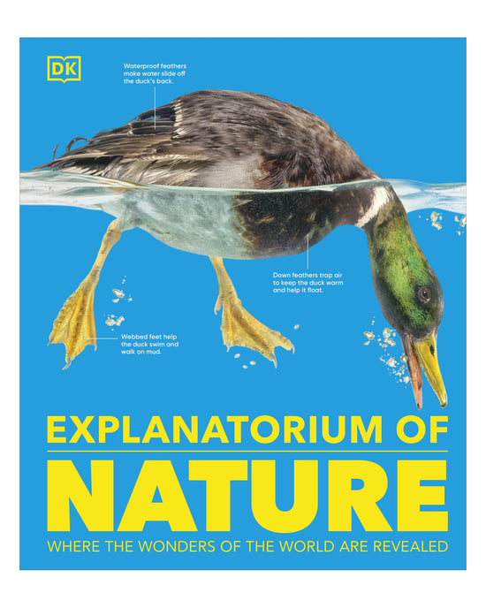 Explanatorium of Nature DK