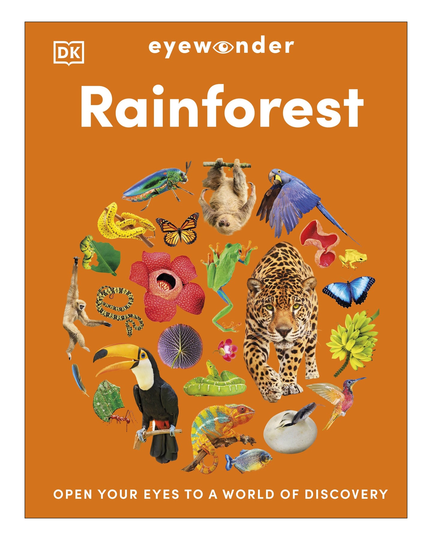Eyewonder Rainforest by DK