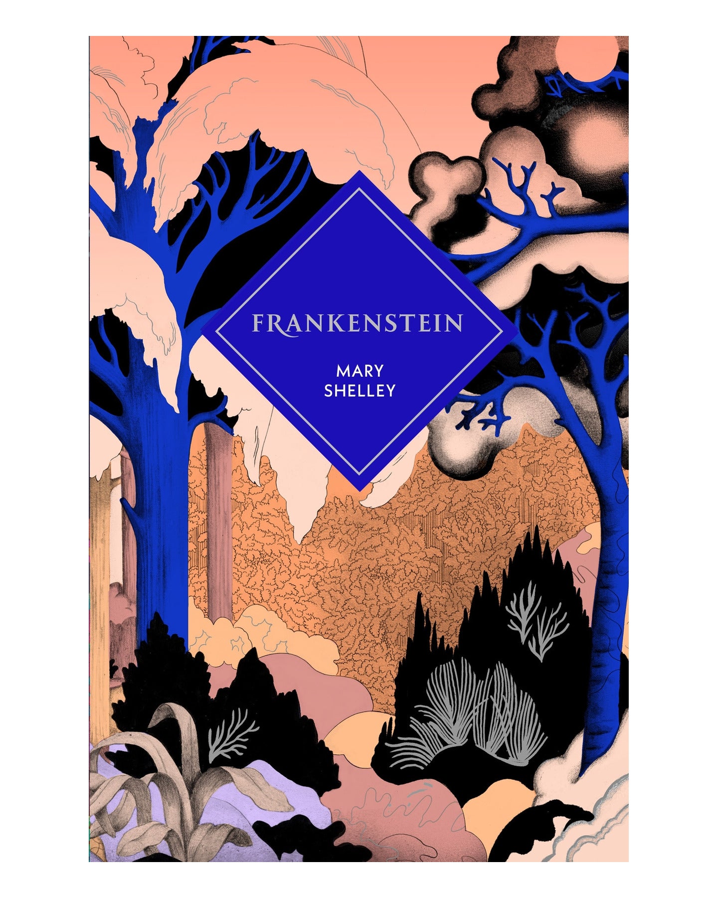 Frankenstein HB by Mary Shelley