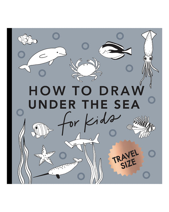 How to Draw Under the Sea: Alli Koch