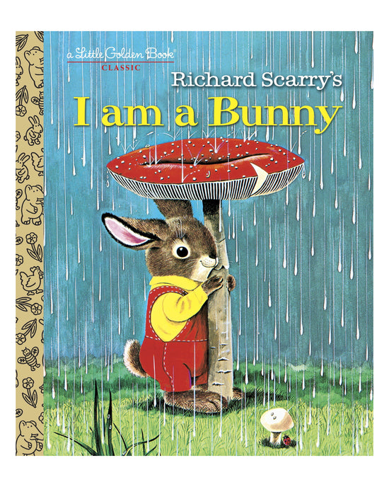 I am a Bunny Little Golden Boo