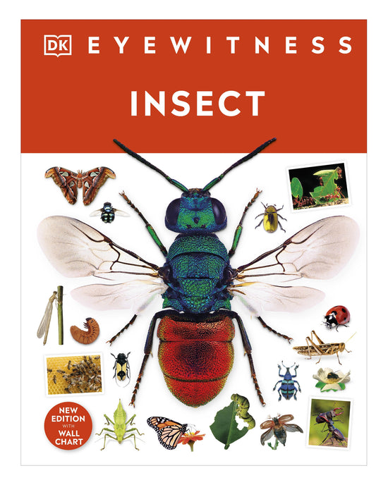 Insect