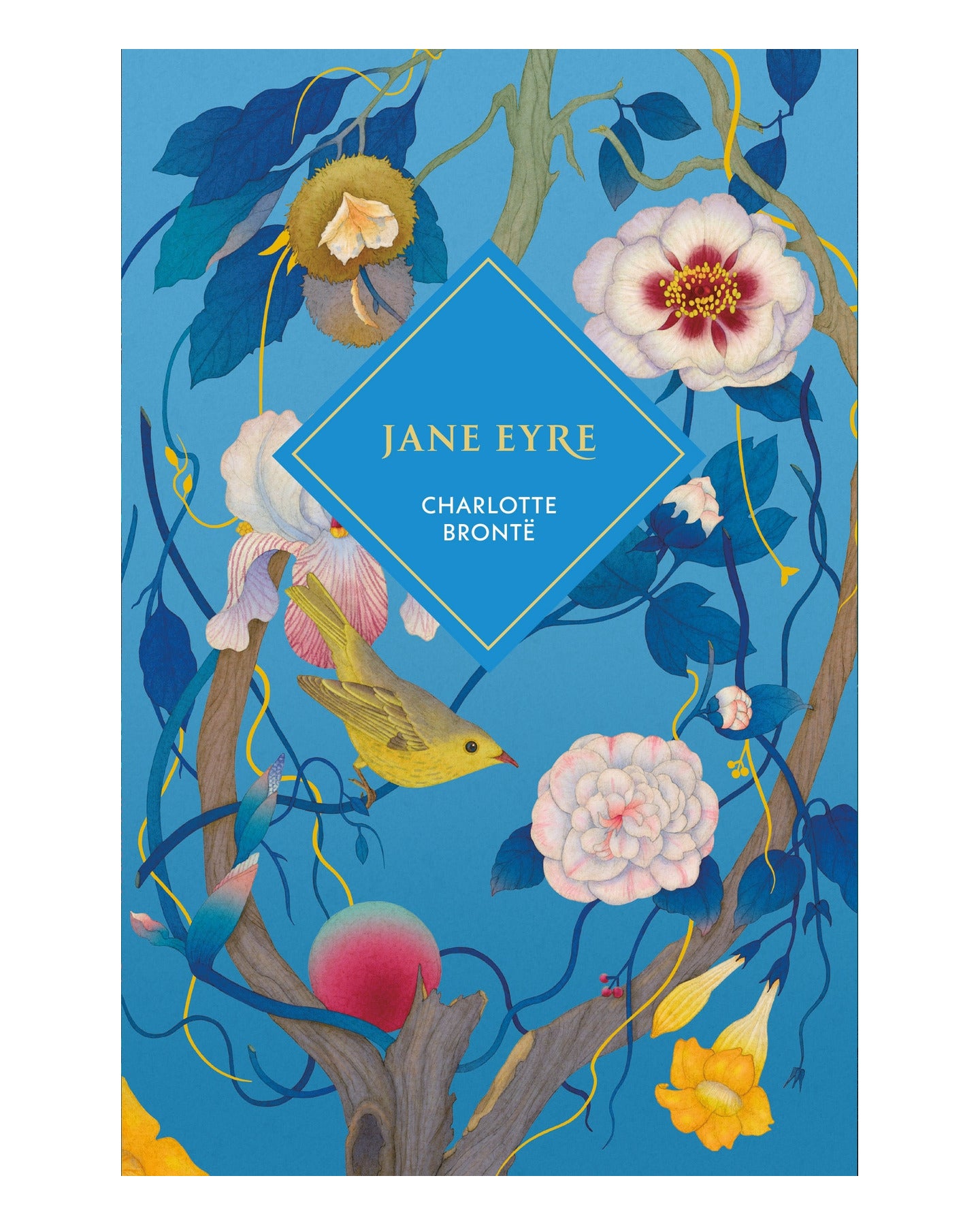 Jane Eyre HB by Charlotte Brontë