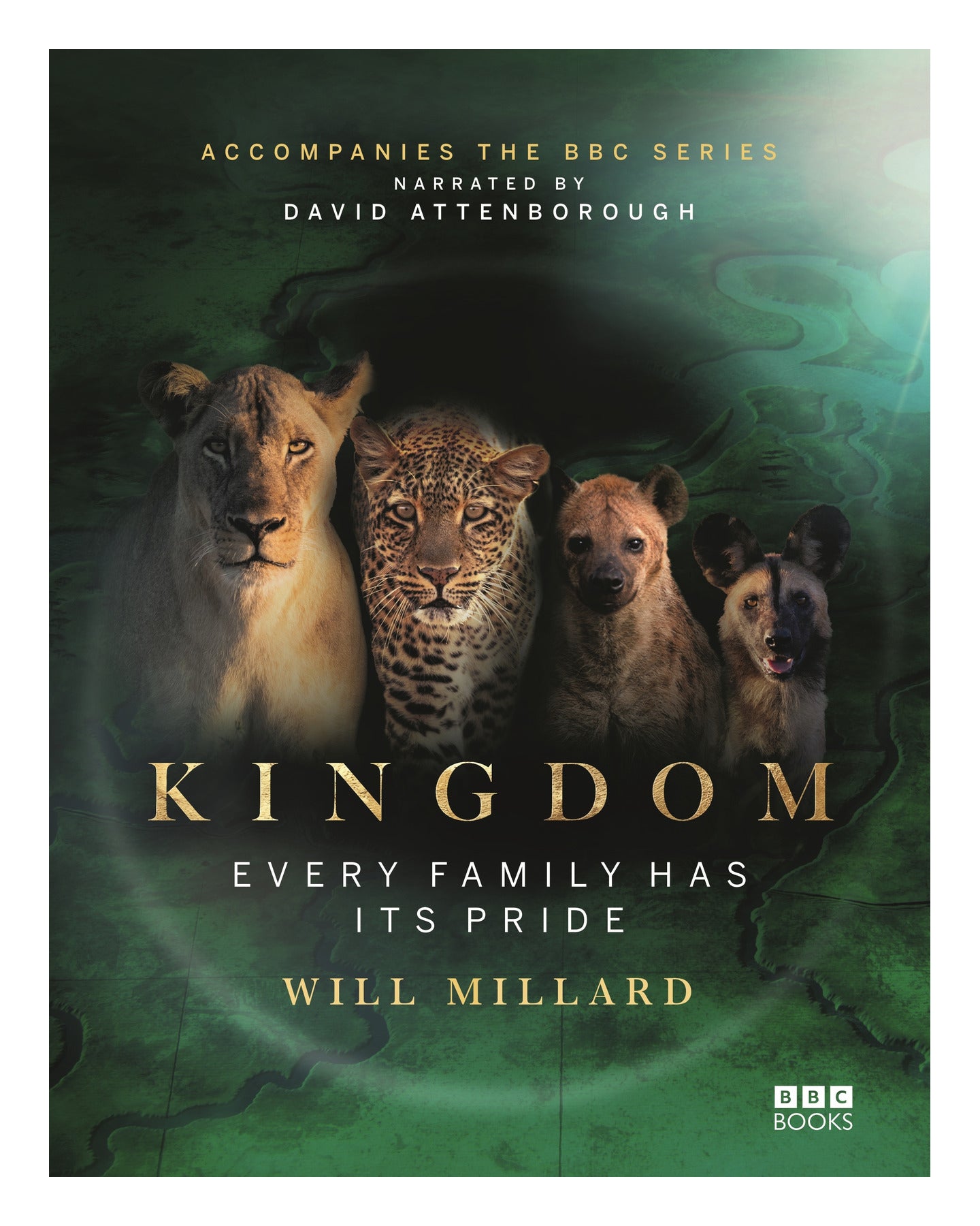Kingdom by Will Millard