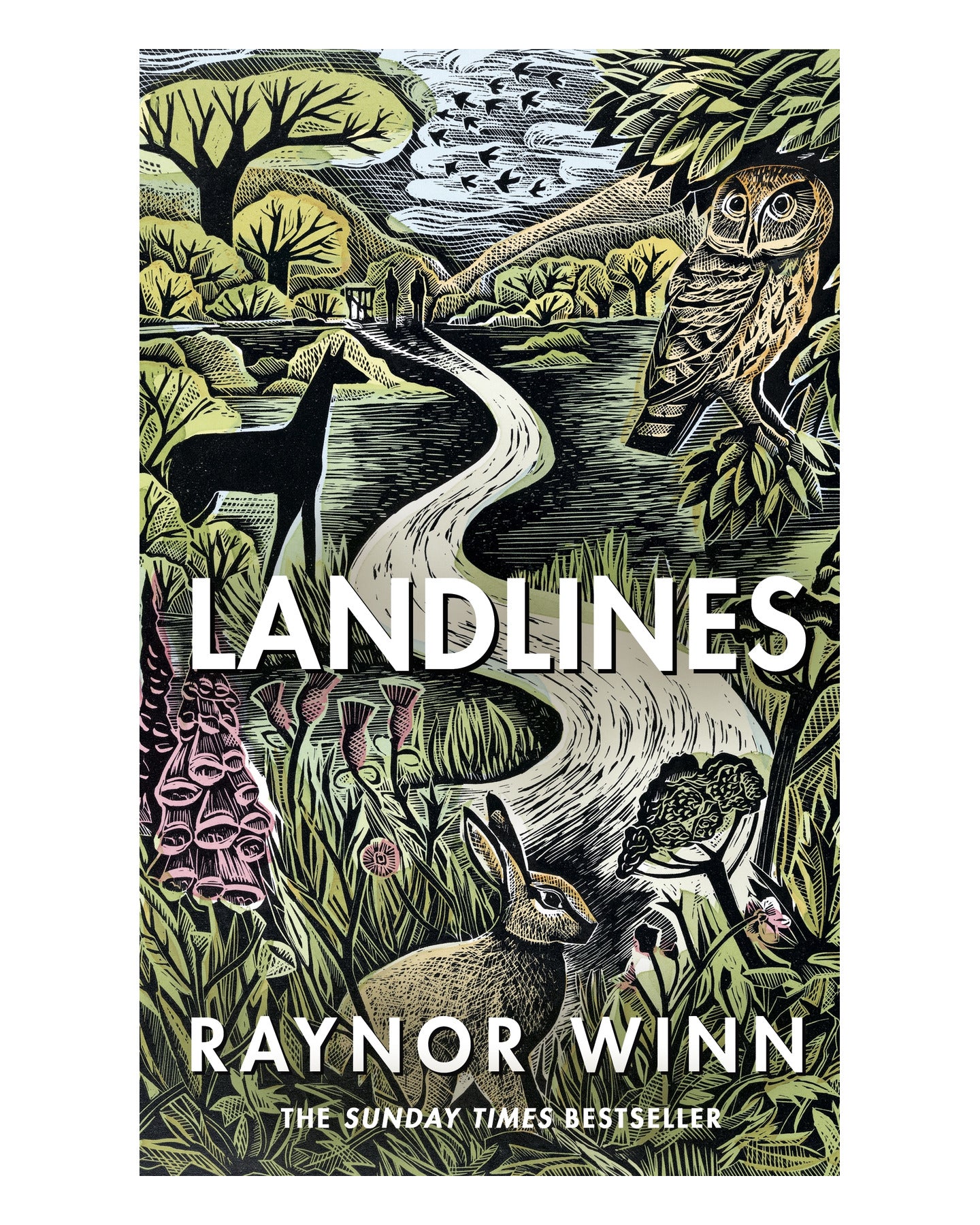 Landlines by Raynor Winn