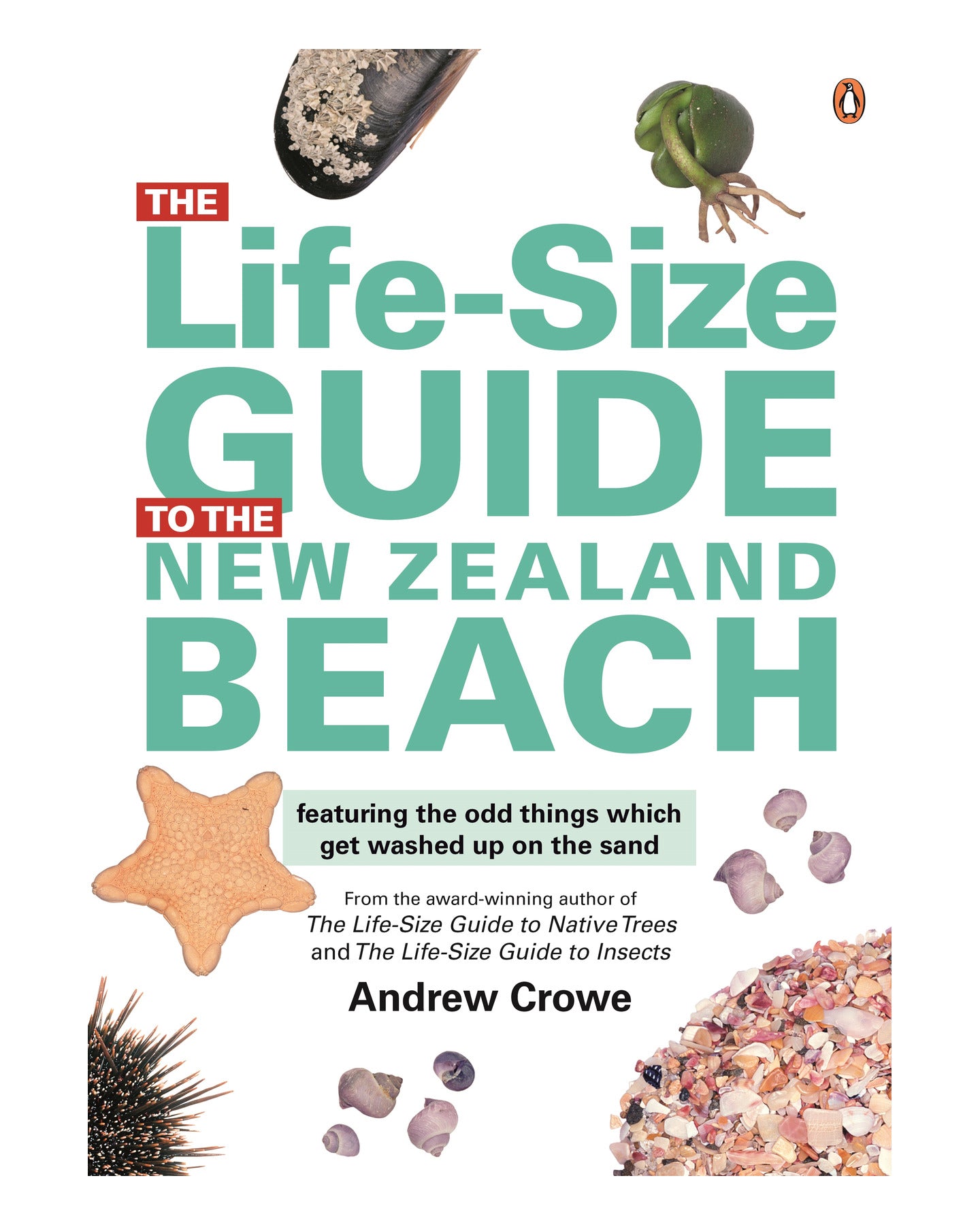 Life-Size Guide to the NZ Beach by Andrew Crowe