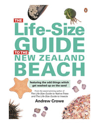 Life-Size Guide to the NZ Beach by Andrew Crowe