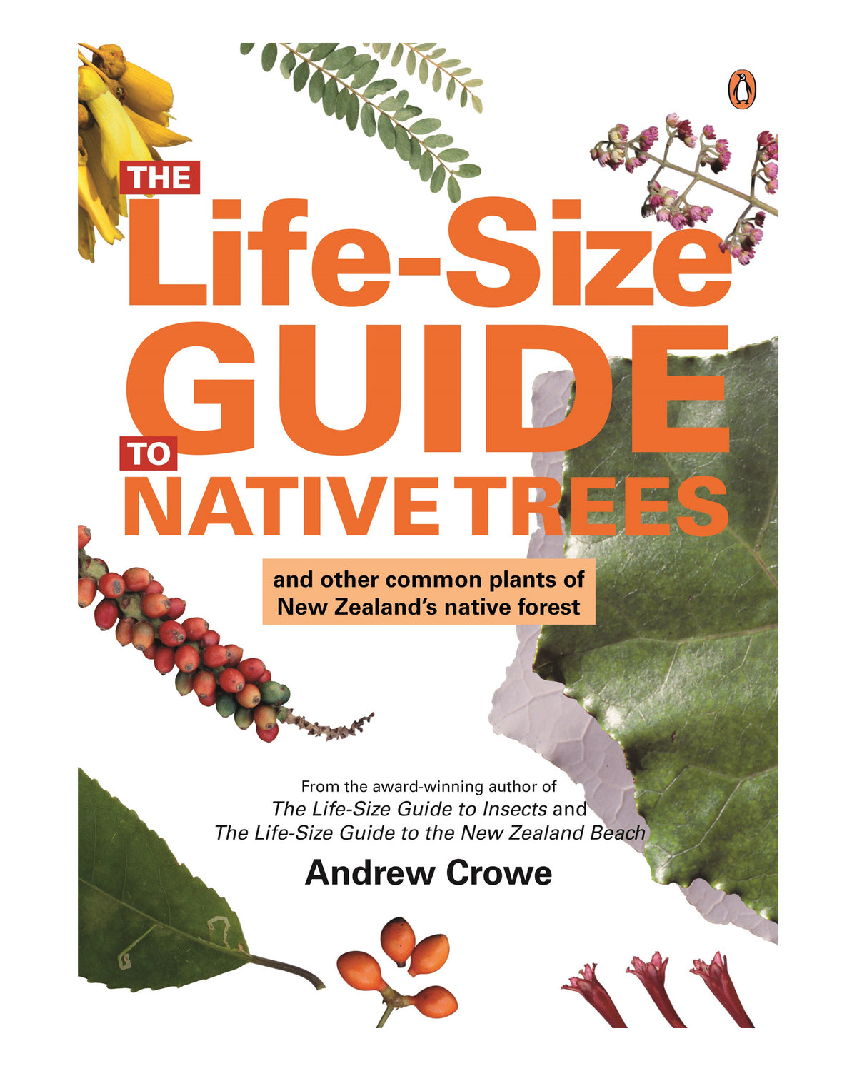 Lifesize Guide to Native Trees by Andrew Crowe