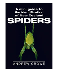 Mini Guide to NZ Spiders by Andrew Crowe