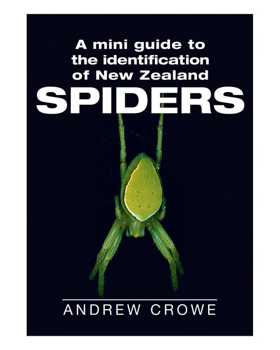 Mini Guide to NZ Spiders: Andrew Crowe