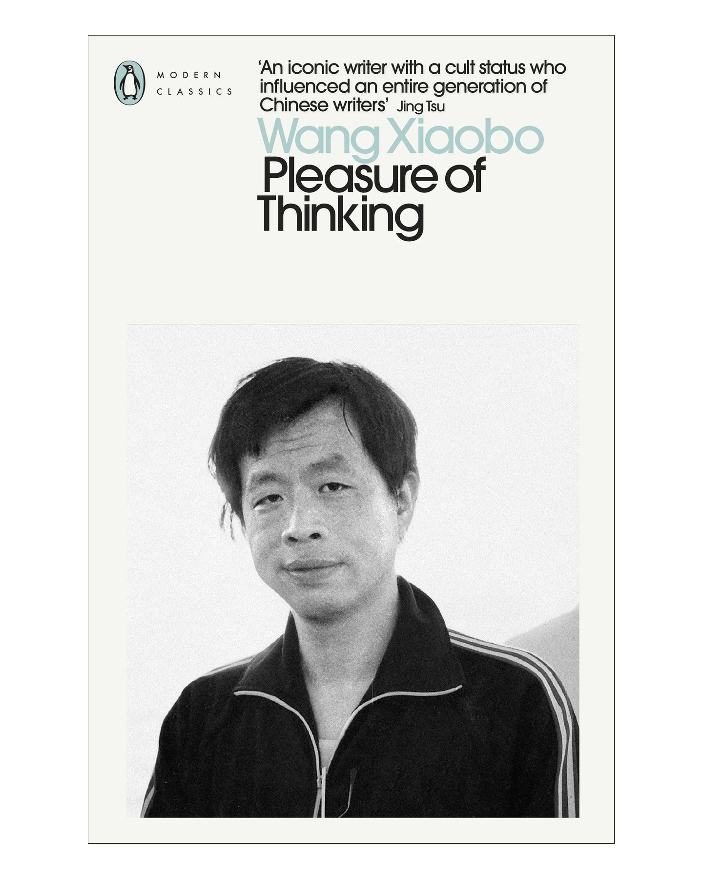 Pleasure of Thinking by Wang Xiaobo