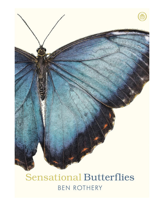 Sensational Butterflies