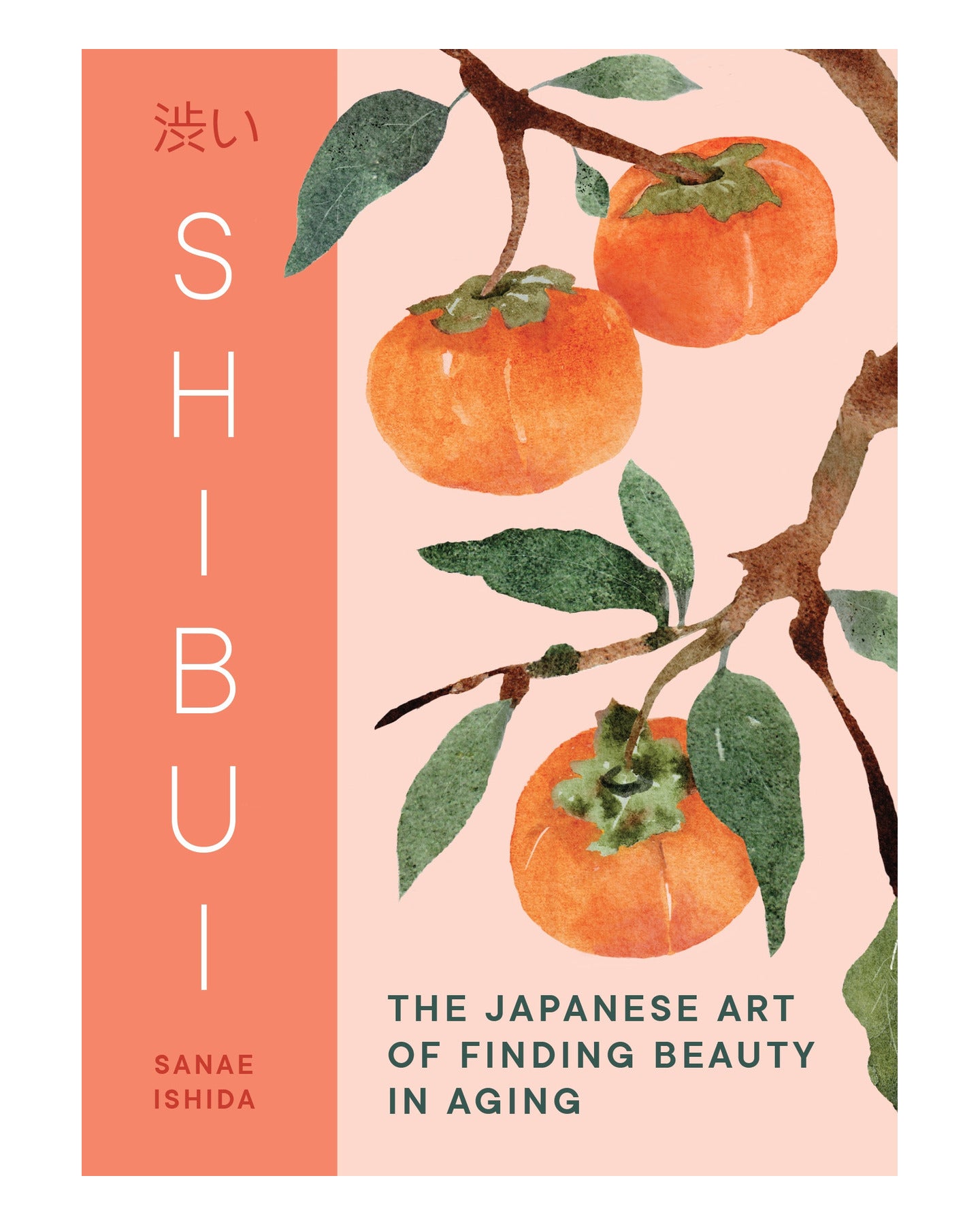 Shibui by Sanae Ishida