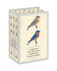 Sibley Backyard Bird Postcards