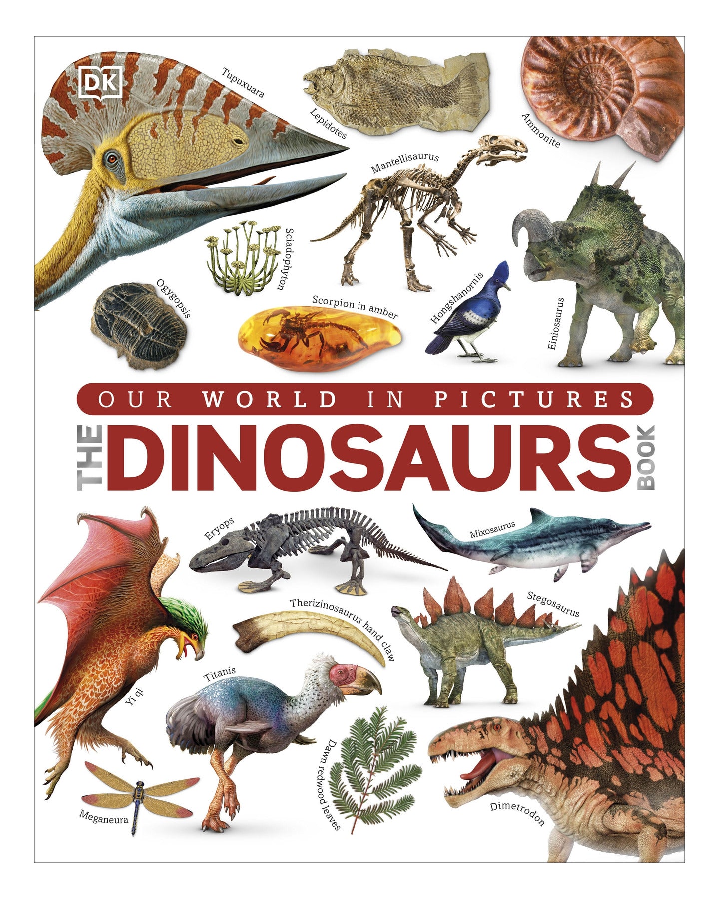 The Dinosaurs Book our world in pictures by DK