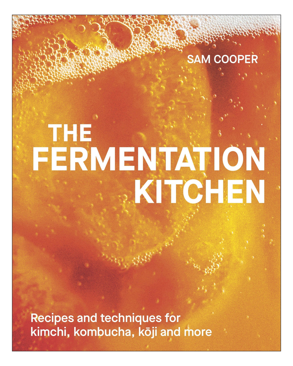 The Fermentation Kitchen