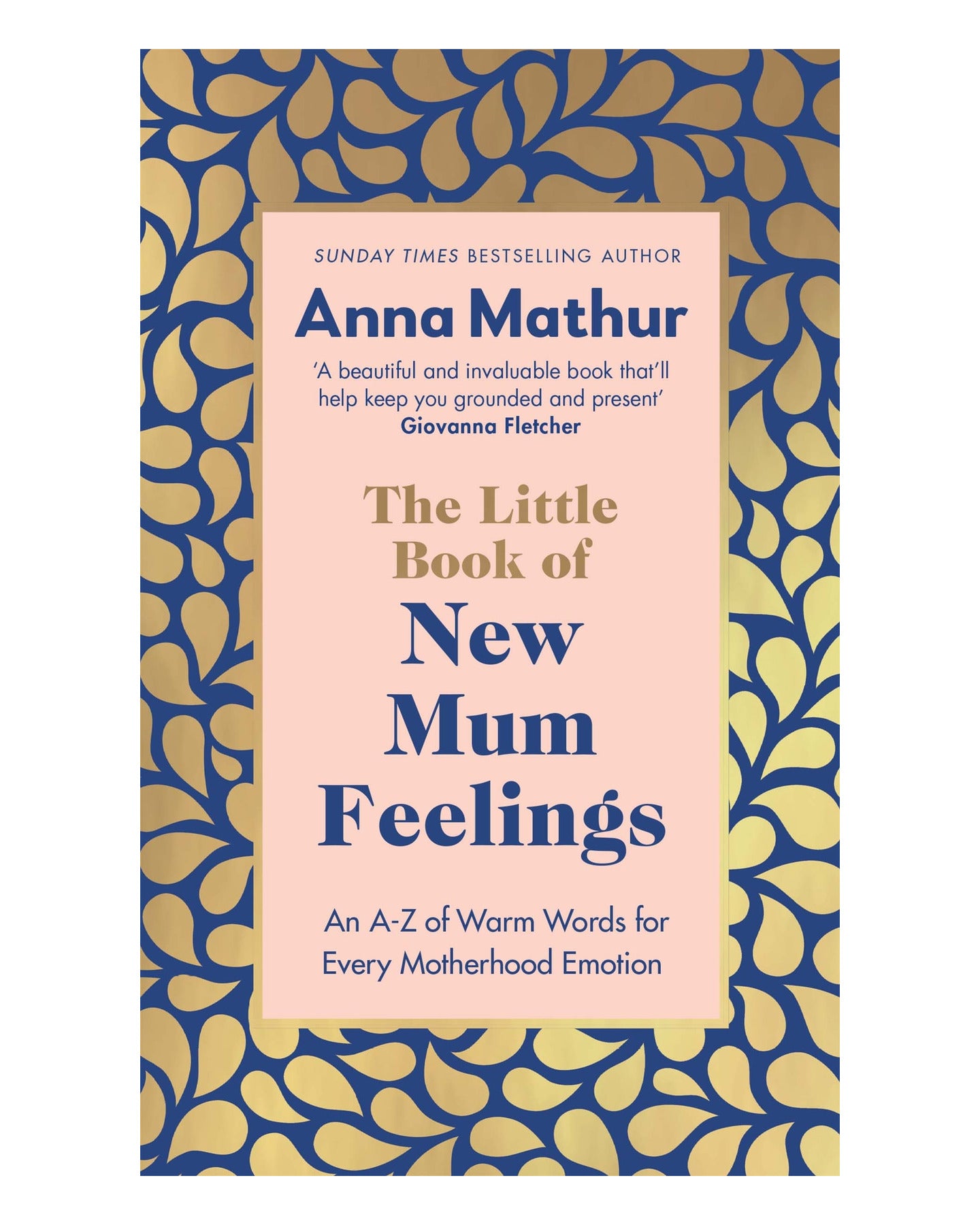 The Little Book of New Mum Feelings by Anna Mathur