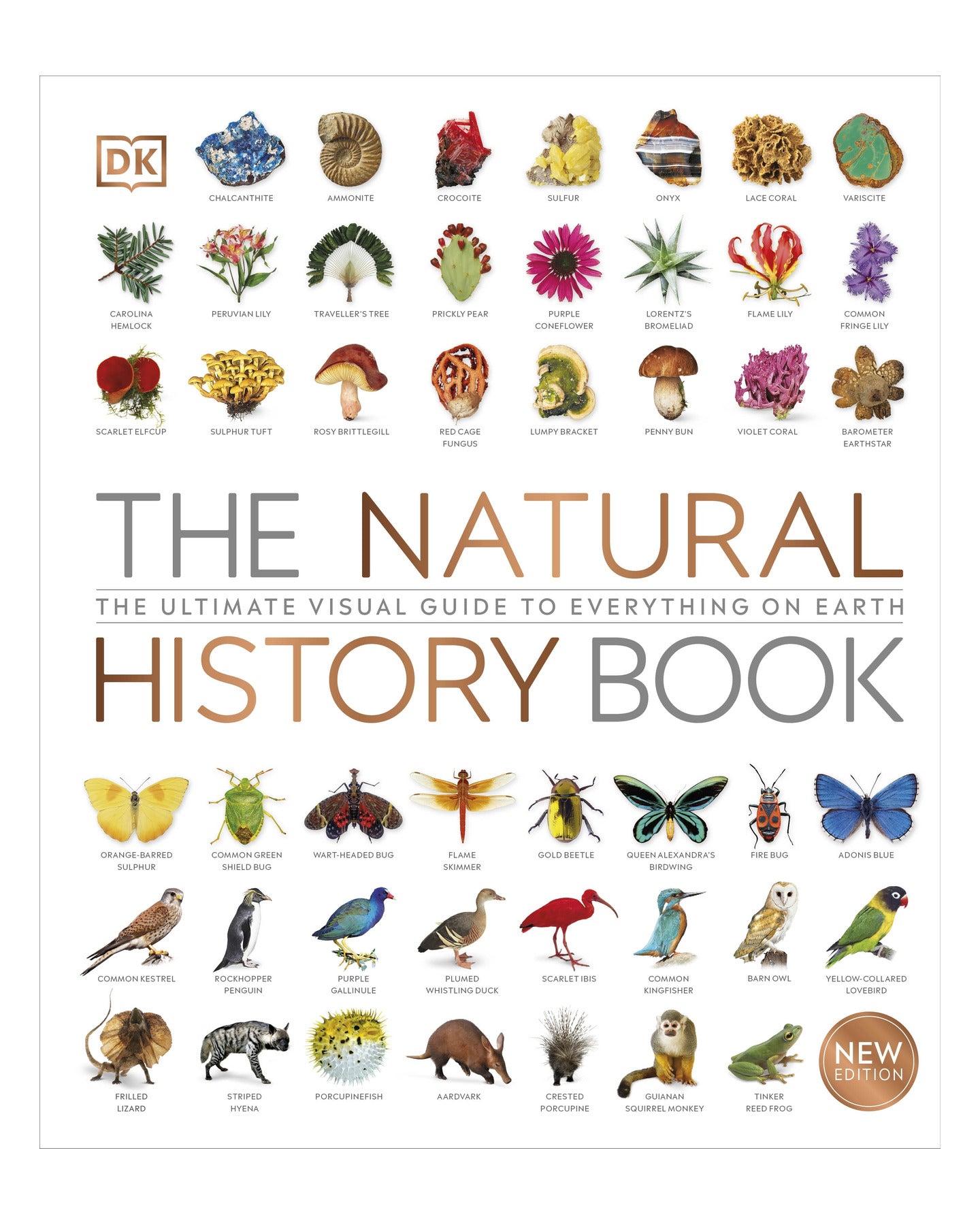 The Natural History Book DK