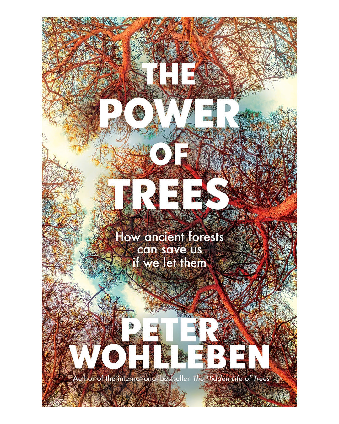 The Power of Trees by Peter Wohlleben