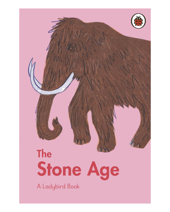 The Stone Age: A Ladybird Book