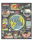 The Wondrous Workings of Planet Earth by Rachel Ignotofsky