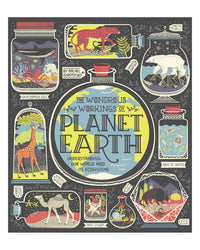 The Wondrous Workings of Planet Earth by Rachel Ignotofsky