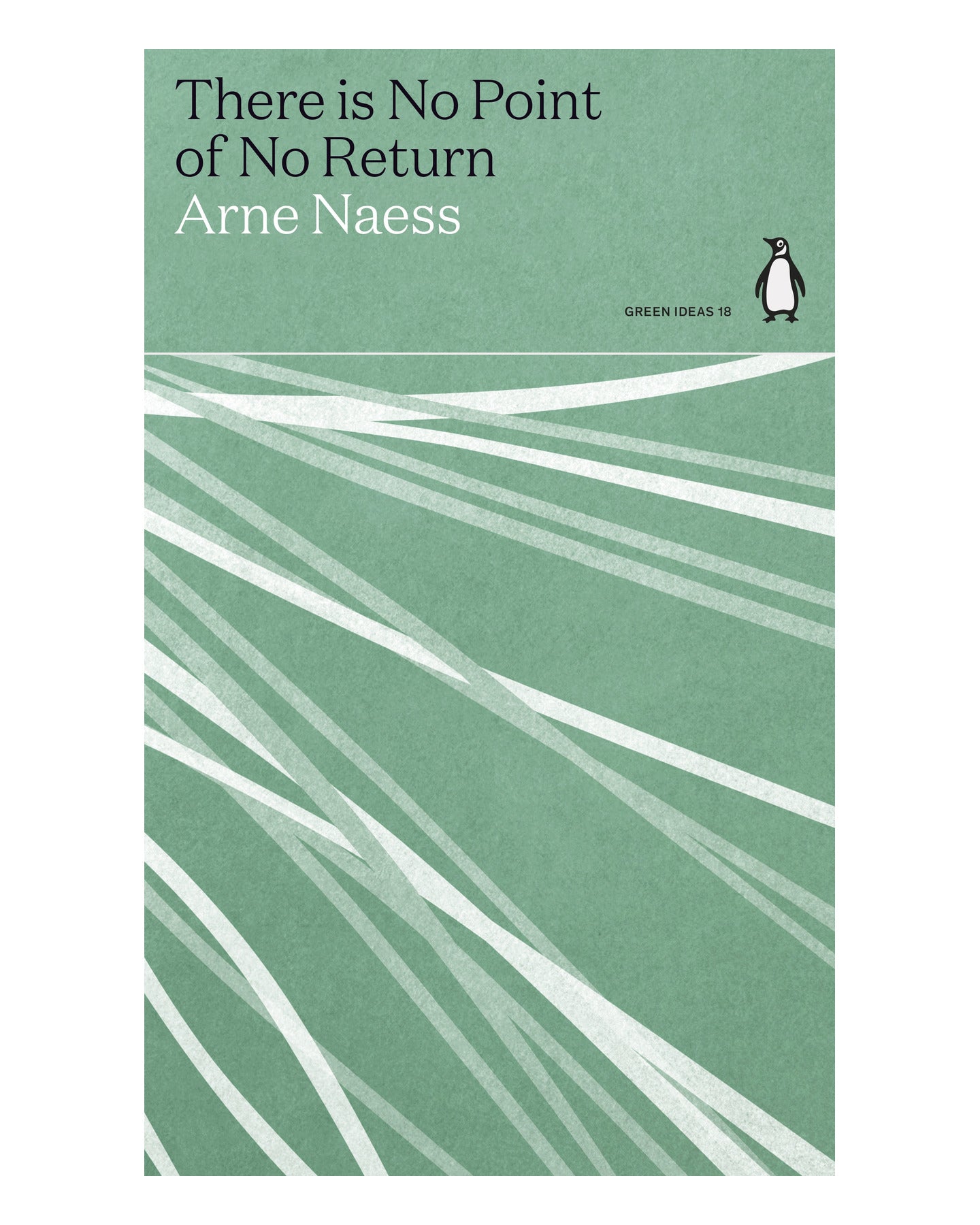 There is No Point of No Return by Arne Naess