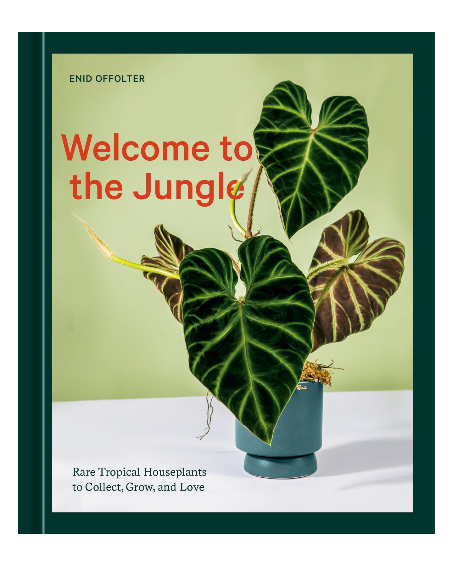 Welcome to the Jungle by Enid Offolter