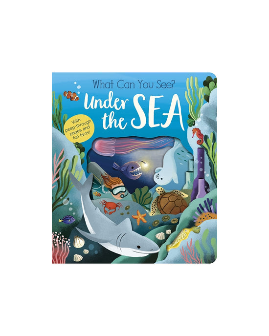 What Can You See? Under the Sea