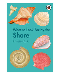 What to Look for by the Seashore by Ladybird