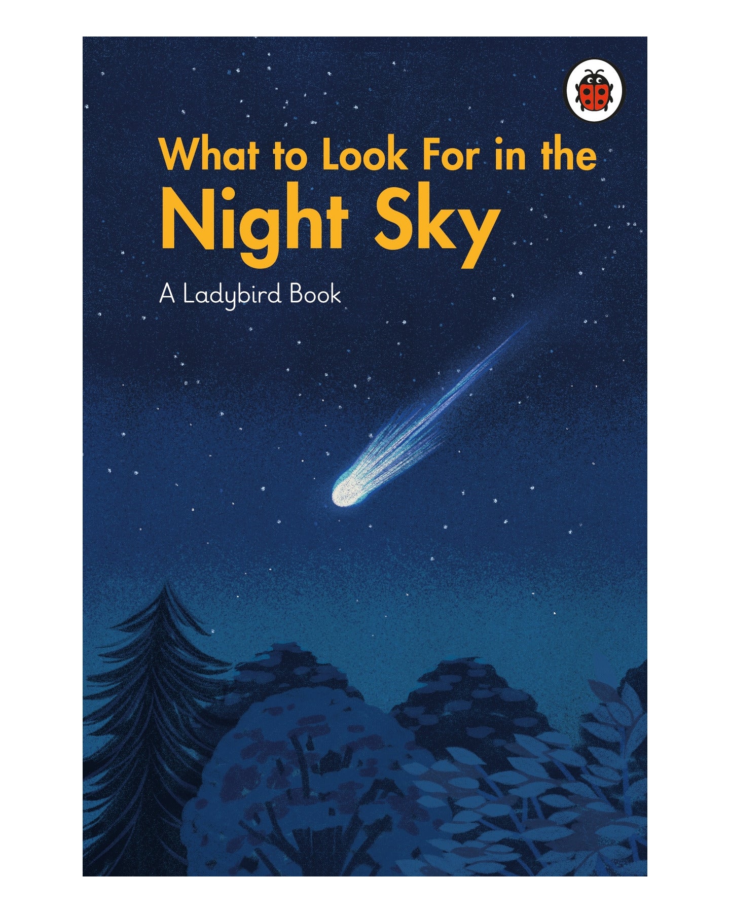 What to Look for in the Night Sky by Ladybird
