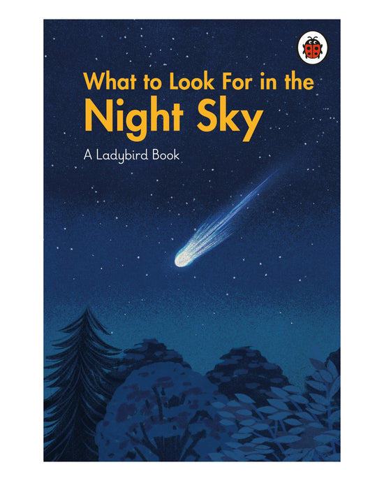 What to Look for in the Night Sky