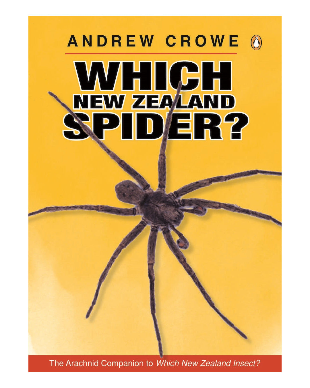 Which New Zealand Spider? by Andrew Crowe