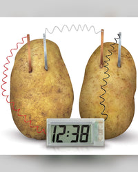 4M Potato Clock Science Kit-2