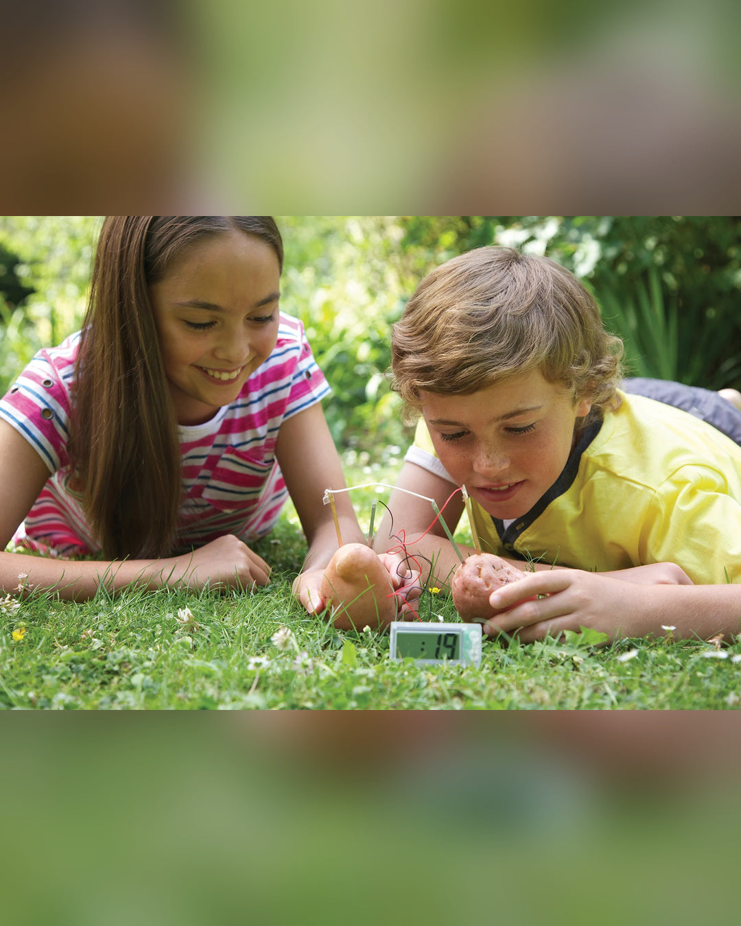 4M Potato Clock Science Kit-4