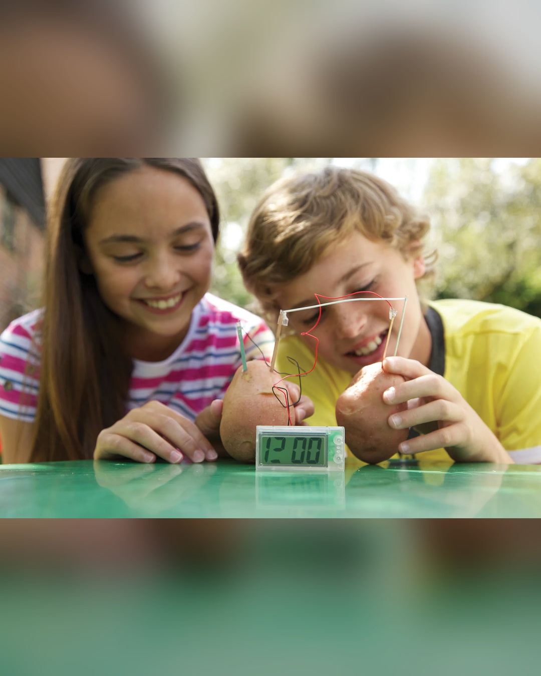 4M Potato Clock Science Kit-5