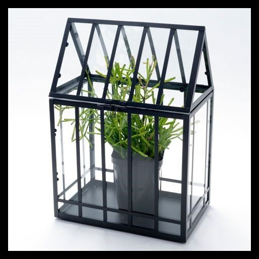 Salisbury Large Glasshouse decorative display piece